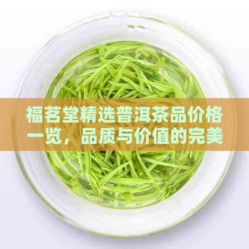 福茗堂精选普洱茶品价格一览，品质与价值的完美结合