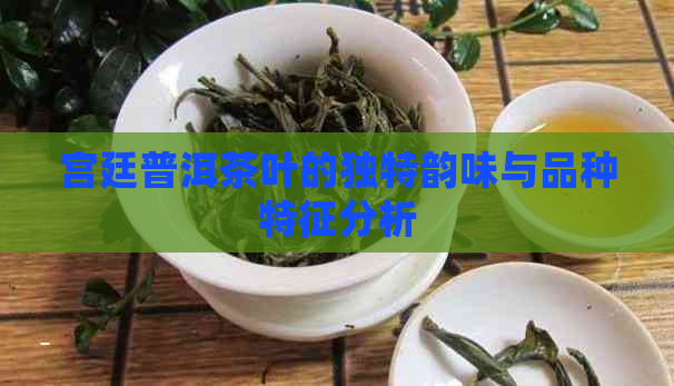 宫廷普洱茶叶的独特韵味与品种特征分析