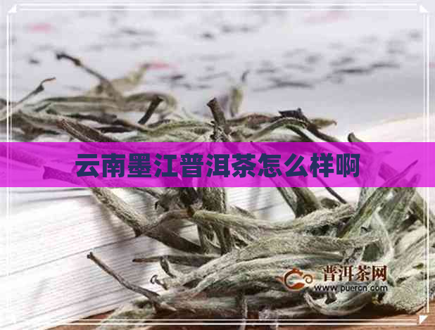 云南墨江普洱茶怎么样啊