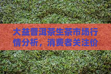 大益普洱茶生茶市场行情分析，消费者关注价格波动与品质选择