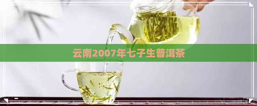 云南2007年七子生普洱茶