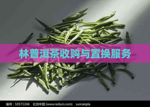 林普洱茶收购与置换服务