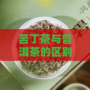 苦丁茶与普洱茶的区别及功效比较