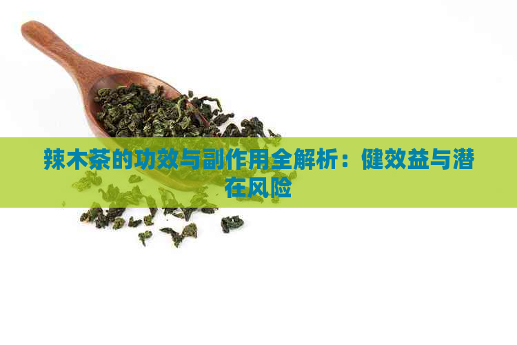 辣木茶的功效与副作用全解析：健效益与潜在风险