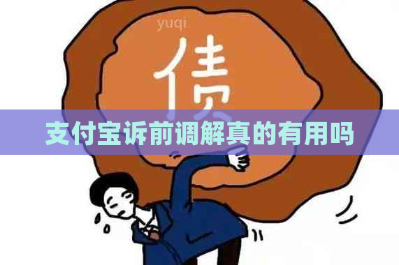 支付宝诉前调解真的有用吗