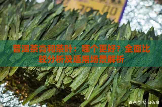 普洱茶膏和茶叶：哪个更好？全面比较分析及适用场景解析