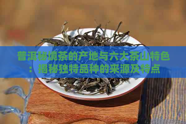 普洱秘境茶的产地与六大茶山特色：揭秘独特品种的来源及特点