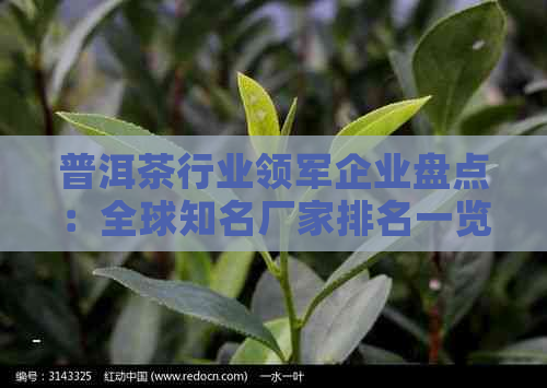 普洱茶行业领军企业盘点：全球知名厂家排名一览