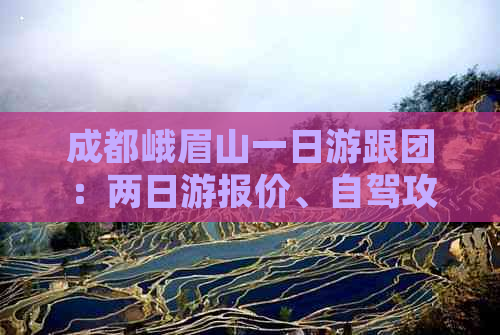 成都峨眉山一日游跟团：两日游报价、自驾攻略及旅游团价格