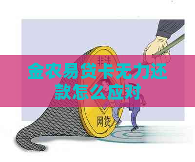 金农易贷卡无力还款怎么应对