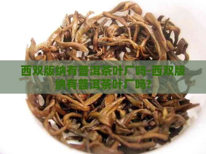 西双版纳有普洱茶叶厂吗-西双版纳有普洱茶叶厂吗?