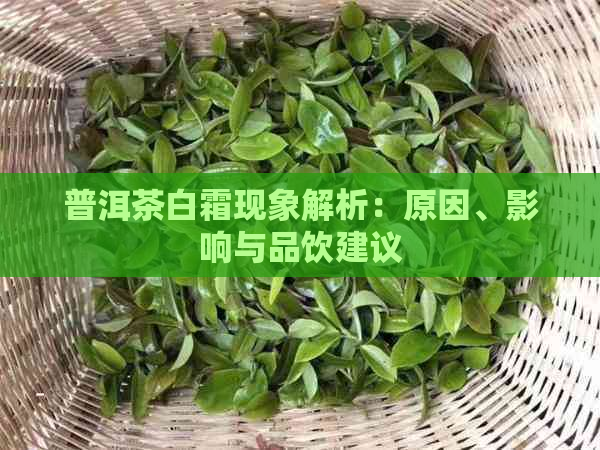 普洱茶白霜现象解析：原因、影响与品饮建议