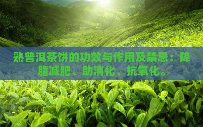 熟普洱茶饼的功效与作用及禁忌：降脂减肥、助消化、抗氧化。