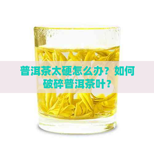 普洱茶太硬怎么办？如何破碎普洱茶叶？