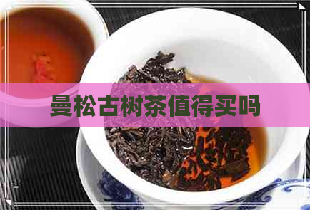 曼松古树茶值得买吗