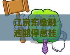 江京东金融逾期停息挂账详细解读