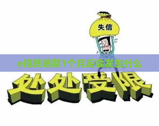 e招贷逾期1个月后会发生什么