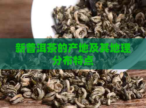 新普洱茶的产地及其地理分布特点