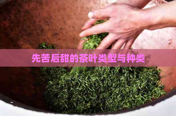 先苦后甜的茶叶类型与种类