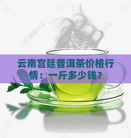 云南宫廷普洱茶价格行情：一斤多少钱？