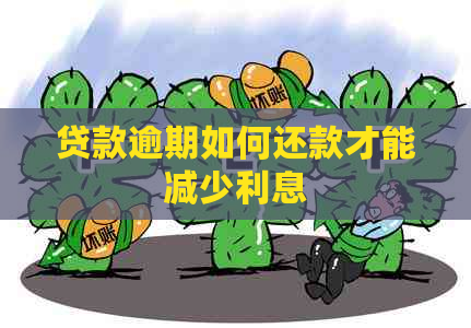 贷款逾期如何还款才能减少利息