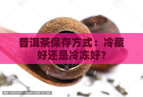 普洱茶保存方式：冷藏好还是冷冻好？