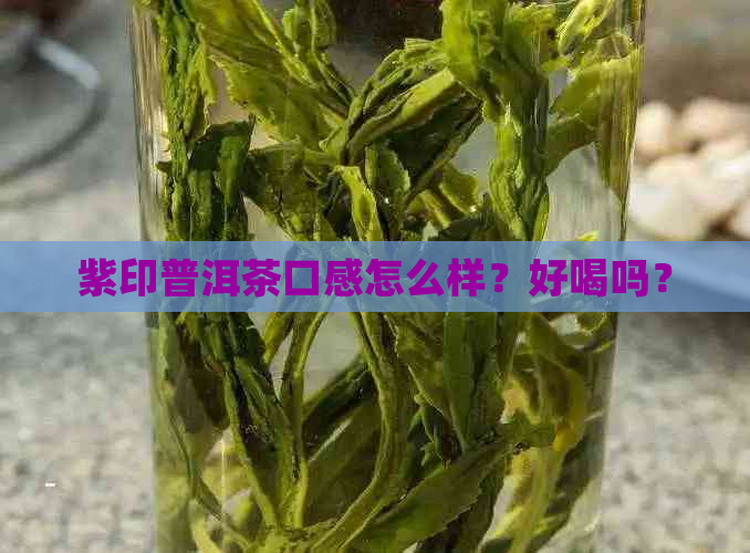 紫印普洱茶口感怎么样？好喝吗？