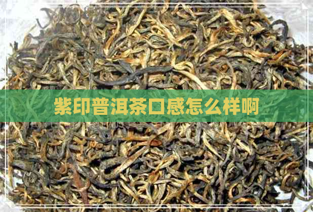 紫印普洱茶口感怎么样啊