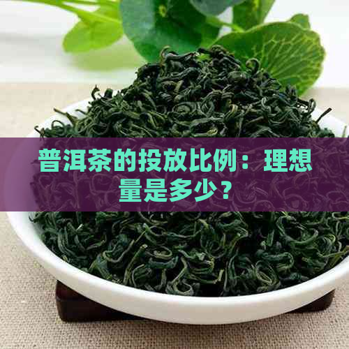 普洱茶的投放比例：理想量是多少？