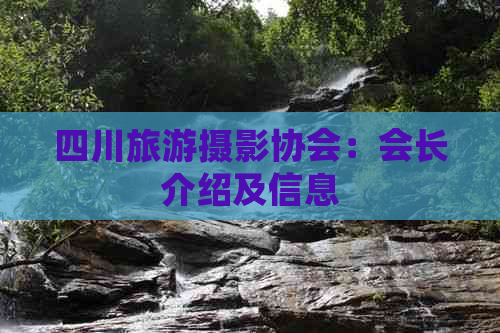 四川旅游摄影协会：会长介绍及信息