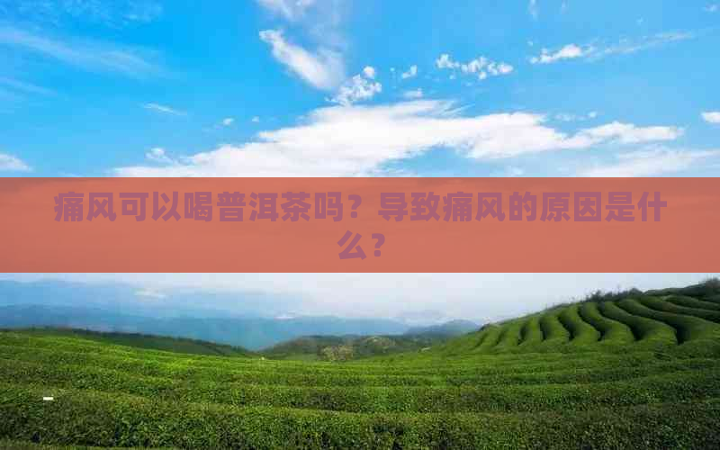 痛风可以喝普洱茶吗？导致痛风的原因是什么？