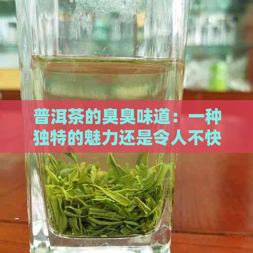 普洱茶的臭臭味道：一种独特的魅力还是令人不快的缺陷？