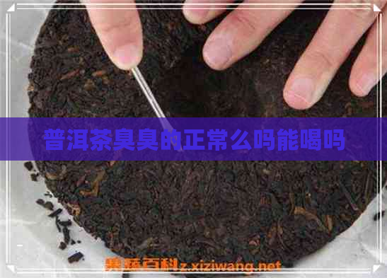 普洱茶臭臭的正常么吗能喝吗