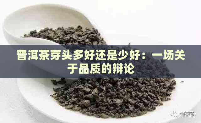 普洱茶芽头多好还是少好：一场关于品质的辩论