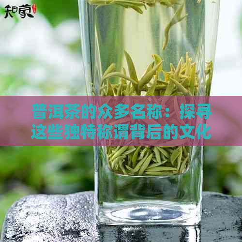 普洱茶的众多名称：探寻这些独特称谓背后的文化与历