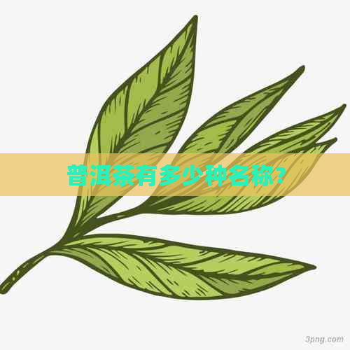 普洱茶有多少种名称？