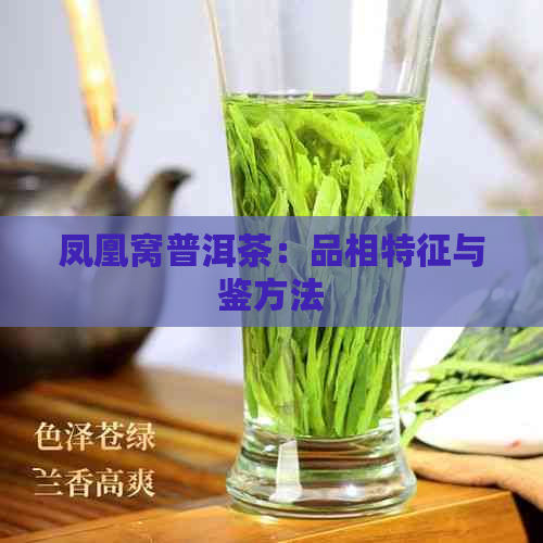 凤凰窝普洱茶：品相特征与鉴方法