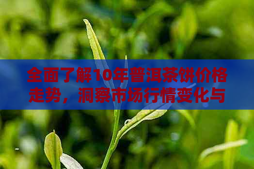 全面了解10年普洱茶饼价格走势，洞察市场行情变化与价值分析