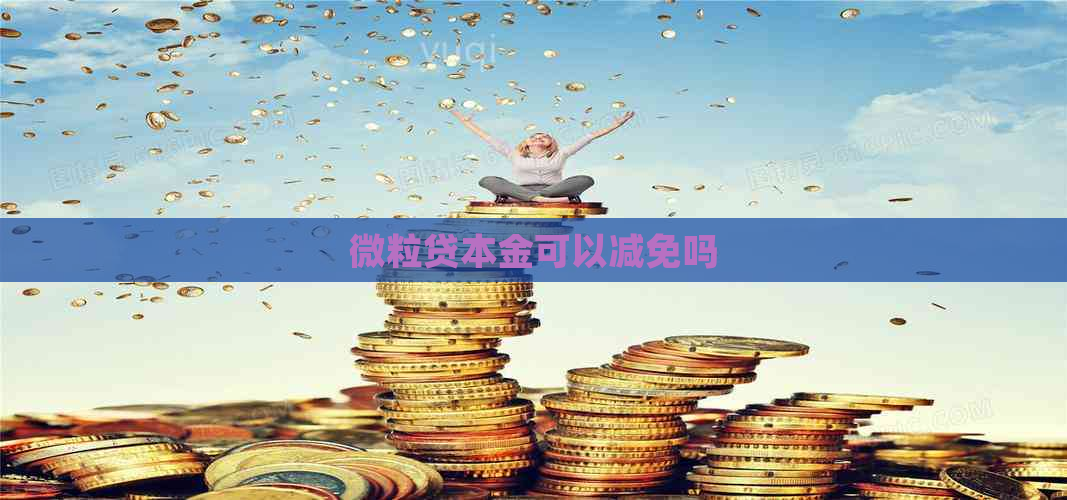 微粒贷本金可以减免吗