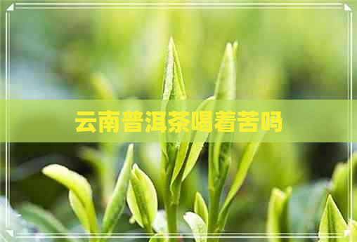 云南普洱茶喝着苦吗