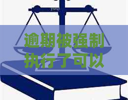 逾期被强制执行了可以坐飞机么