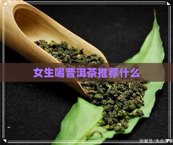 女生喝普洱茶推荐什么