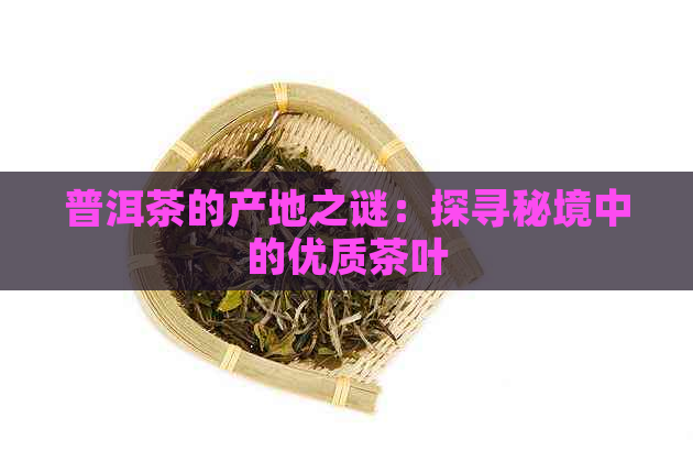 普洱茶的产地之谜：探寻秘境中的优质茶叶