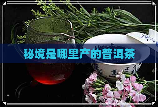 秘境是哪里产的普洱茶