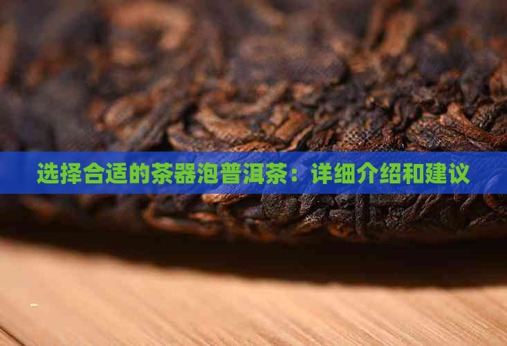 选择合适的茶器泡普洱茶：详细介绍和建议