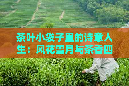 茶叶小袋子里的诗意人生：风花雪月与茶香四溢