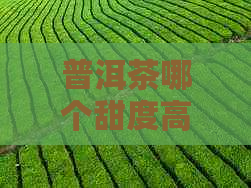 普洱茶哪个甜度高：哪款普洱茶甜度更高？