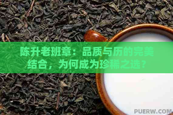 陈升老班章：品质与历的完美结合，为何成为珍稀之选？