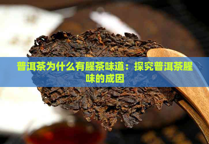 普洱茶为什么有腥茶味道：探究普洱茶腥味的成因