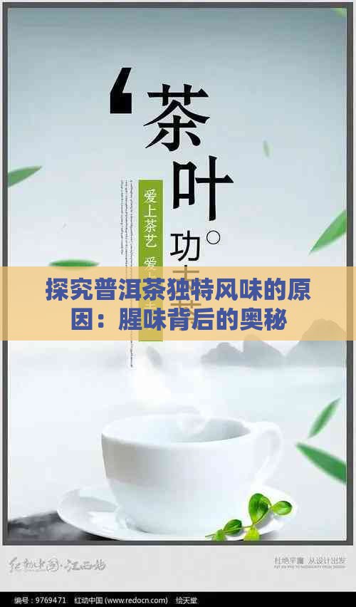 探究普洱茶独特风味的原因：腥味背后的奥秘